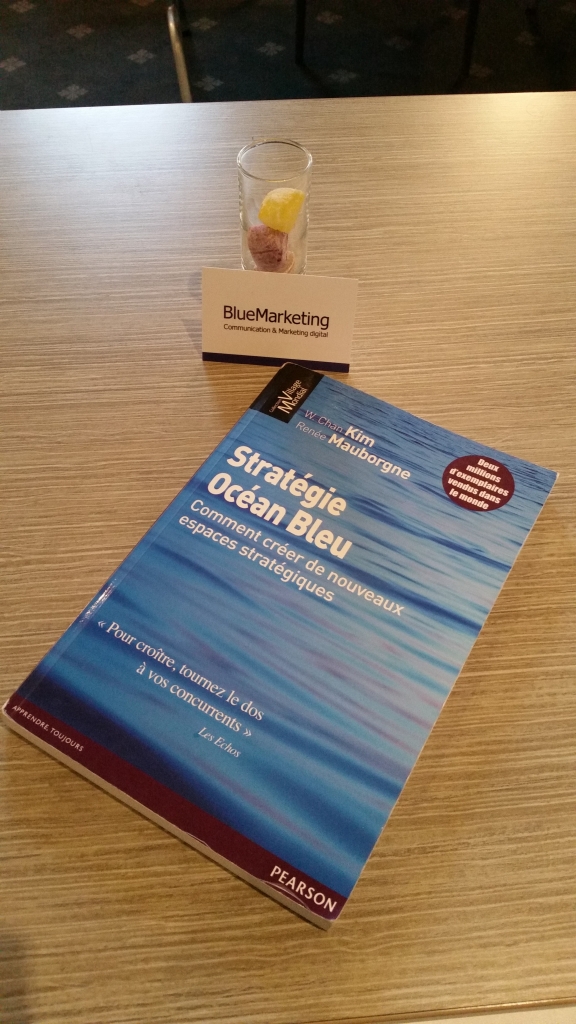 livre-strategie-ocean-bleu