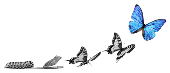 transformation-digitale