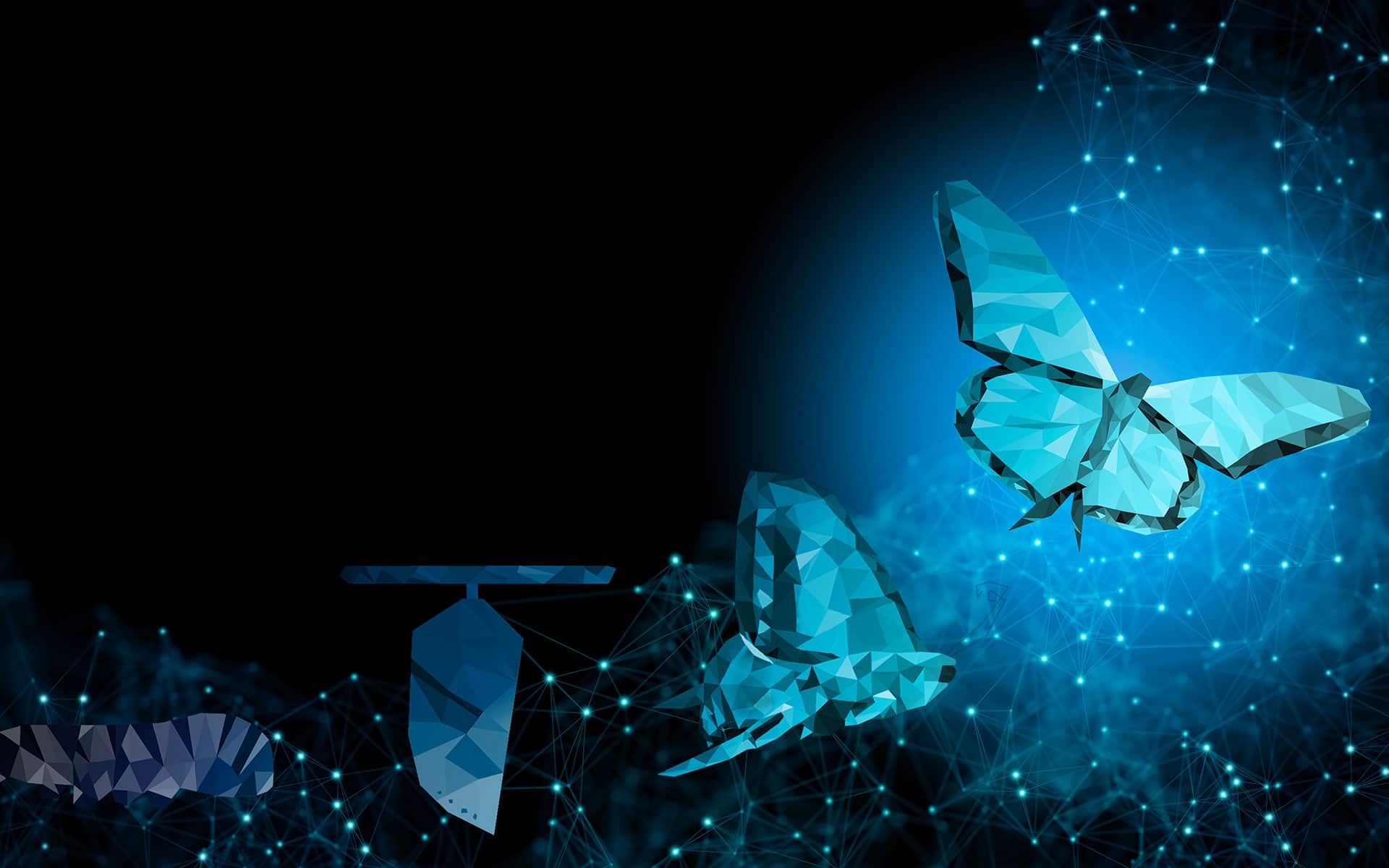 14 raisons transformation digitale pme